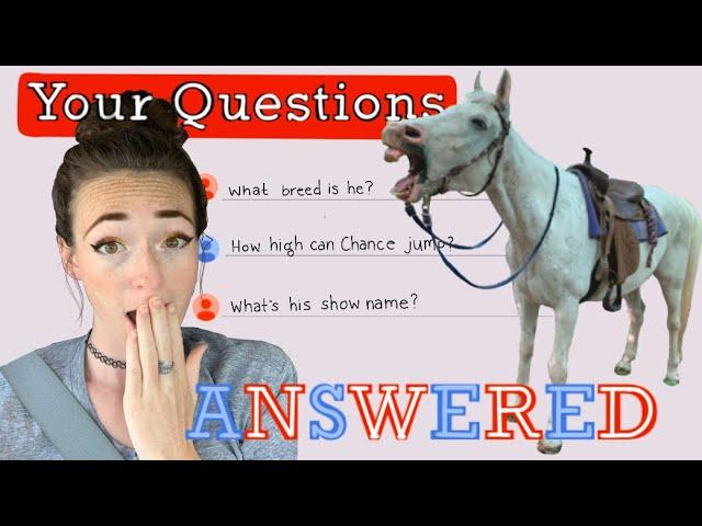 Curious? Now You Can Know EVERYTHING! | Chance FAQ Vlog 2023