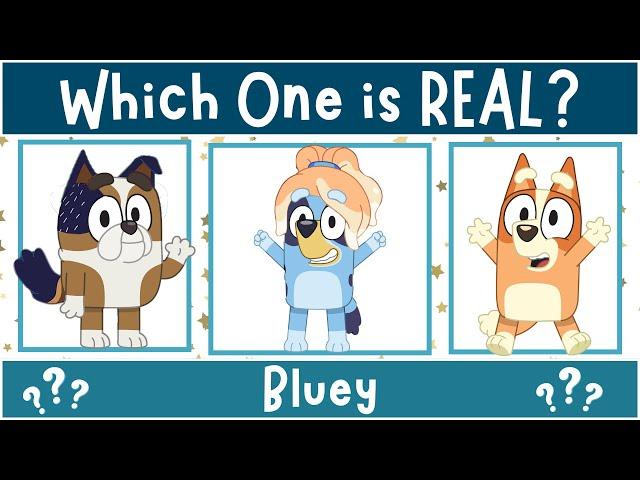 Can You Guess The REAL Bluey Character?