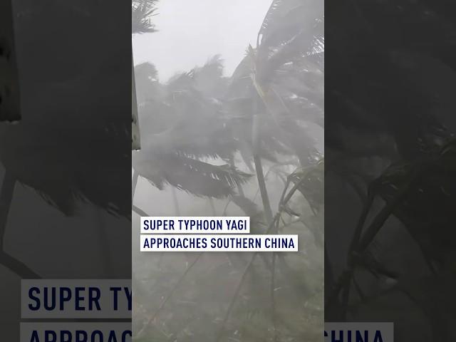 Deadly super typhoon Yagi makes landfall in China's Hainan