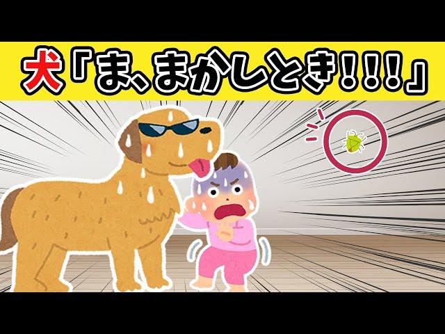 【ほのぼの2ch】虫にビビり散らかす3歳児と犬の話【ゆっくり】