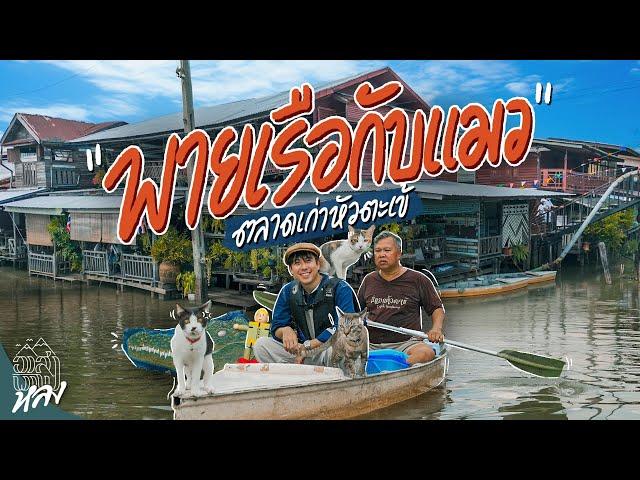 พายเรือเก็บขยะกับแมว ที่ริมคลองตลาดเก่าหัวตะเข้ | อาสาพาไปหลง