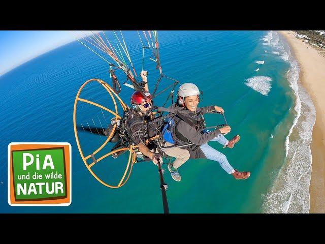 Im Gleitflug über die Meerenge | Reportage für Kinder | Pia und die wilde Natur