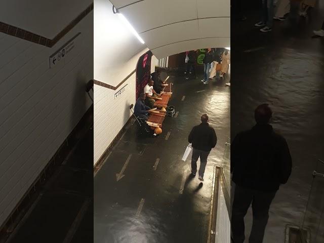 Прикольная музычка. Пустое по пустому дереву