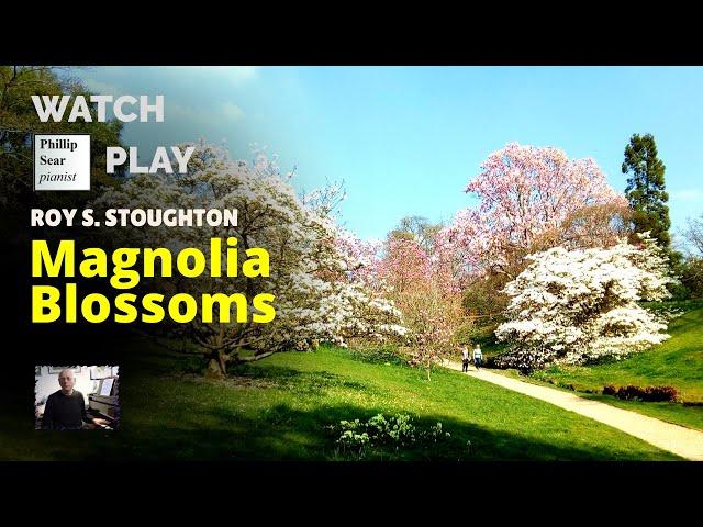 Roy S. Stoughton: Magnolia Blossoms