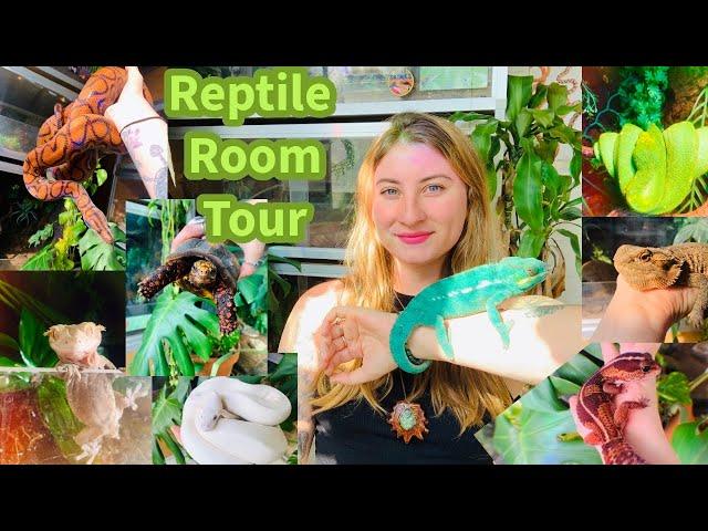 Reptile Room Tour October 2024!