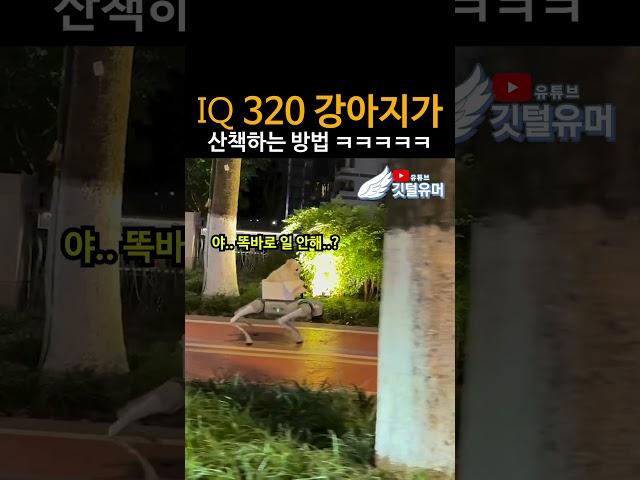 아이큐가 높으면 왜 다 흑화 하는 걸까 ㅋㅋㅋㅋㅋ