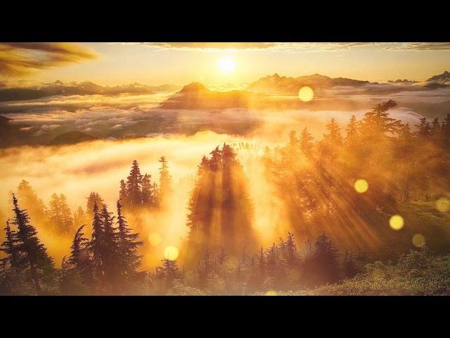 1 HORA de música de piano relajante  1 HOUR Relaxing piano music.