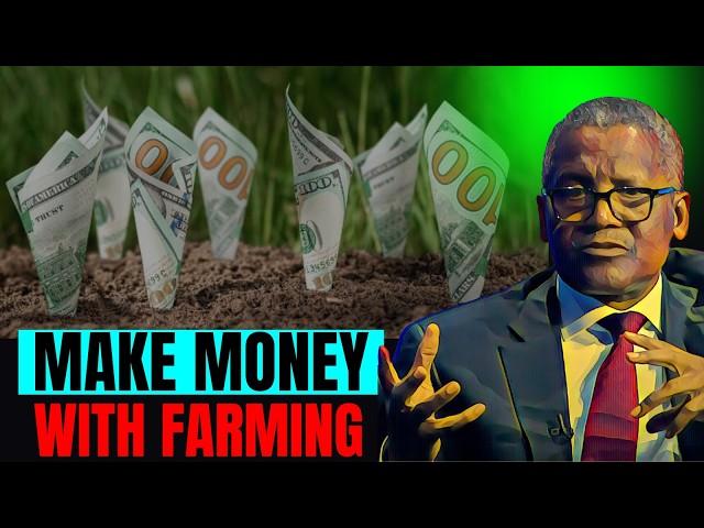 Four Money Making Agriculture Opportunities in Africa