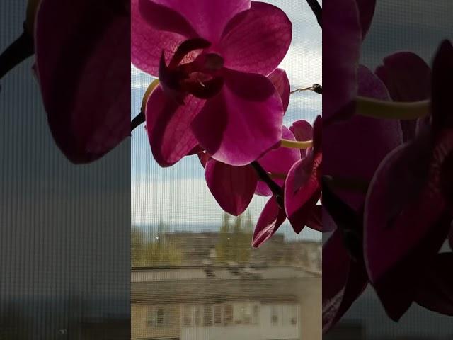 #relax