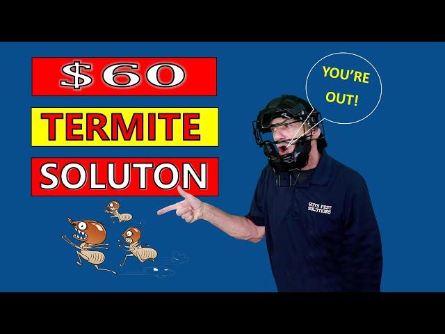 Unbelievable $60 Termite Solution.  Takes Less Than an Hour to do.