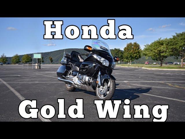 2008 Honda Goldwing: Regular Car Reviews