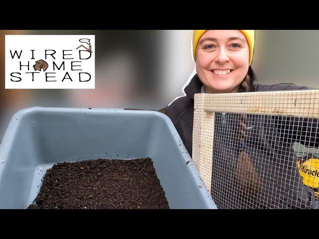 Soil Sifter DIY | How To Build A Soil Sifter Screen