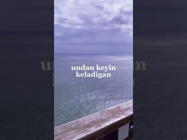 Sardor domladan ajoyib so’zlar