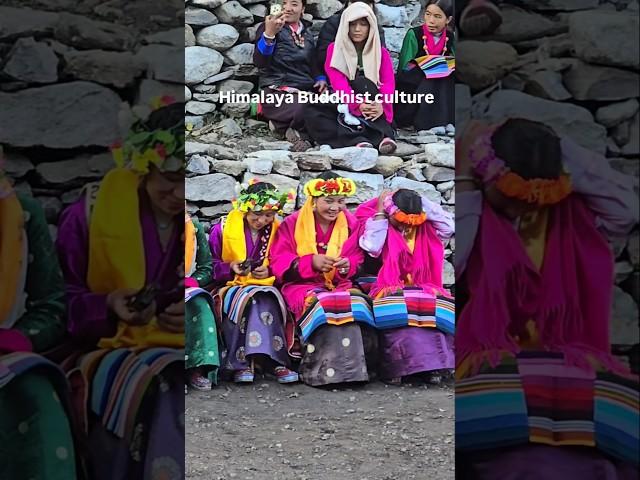 Colours of Tibet, A Glimpse into tradition #shorts #travel #tibet #tibetandance #himalayas