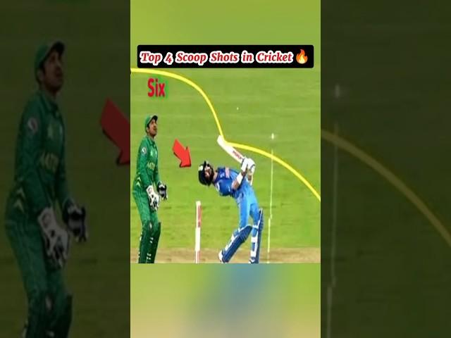 Top 4 Scoop Shots in Cricket  #cricket #abdevilliers #ipl