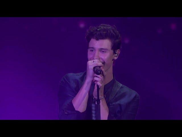 Shawn Mendes Lost in Japan AMAs 2018 Awards (4k)