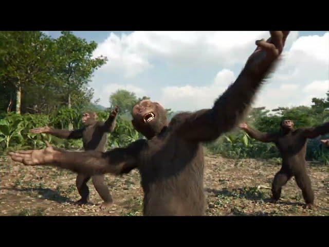 Tic Tac Toe (Dancing Monkeys Video)