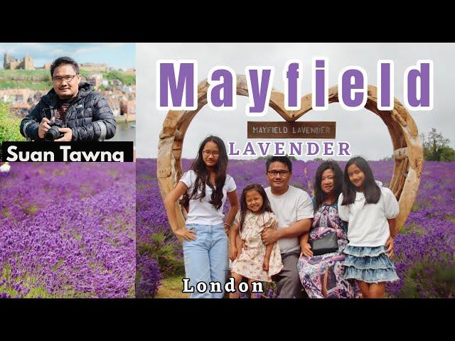 Mayfield Lavender Farm - LONDON