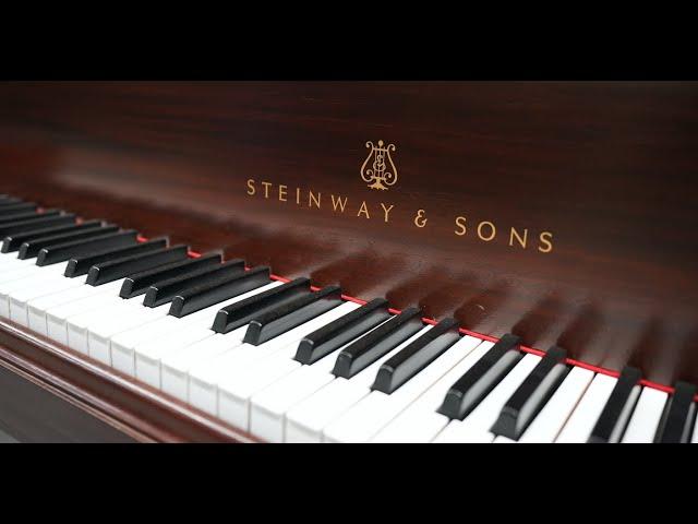 What Steinway Doesn't Want You To Know (Stein-Was)