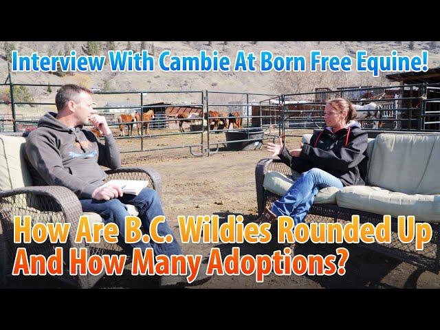 How To Round Up B.C. Wildies, How Many Adoptions? #115