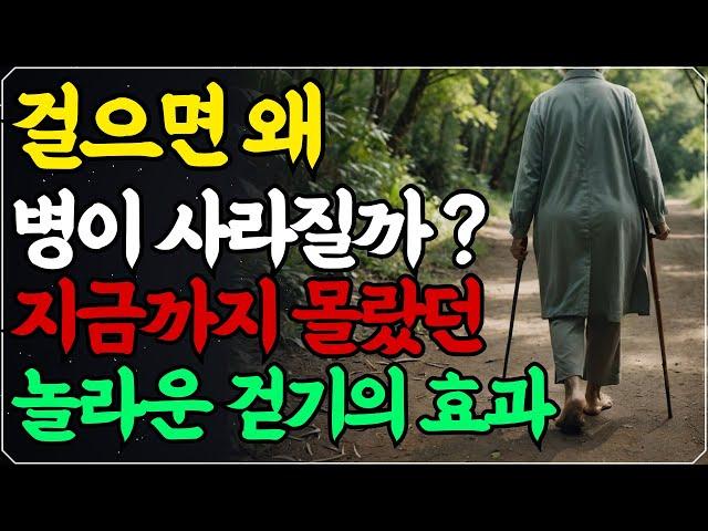 지금껏 몰랐던 걷기의 놀라운 치료 효과! 더 늦기 전에 당장 걸으세요! / 누구라도 따라 할 수 있는 화제의 '걷기' 건강법!  / 병의 90%는 걷기만 해도 낫는다