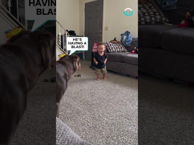Adorable Baby Bash Plays with Dog Bestie || ViralHog