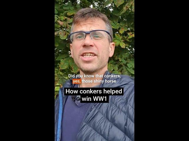 Did conkers help win the First World War?