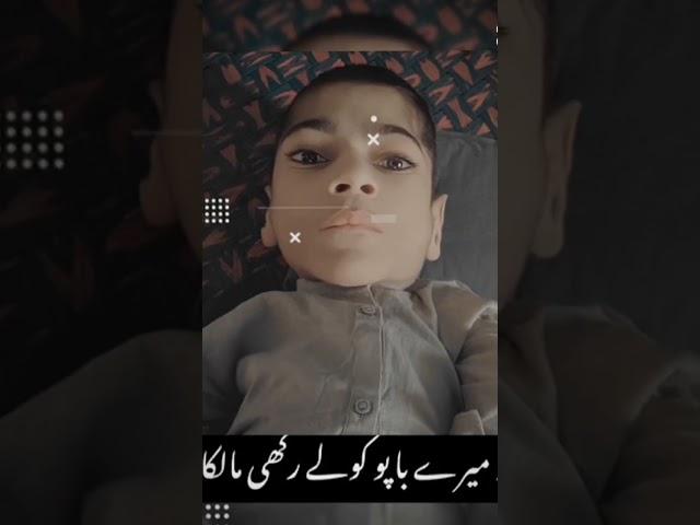 Choudhry Muhammad Ali Mughal 