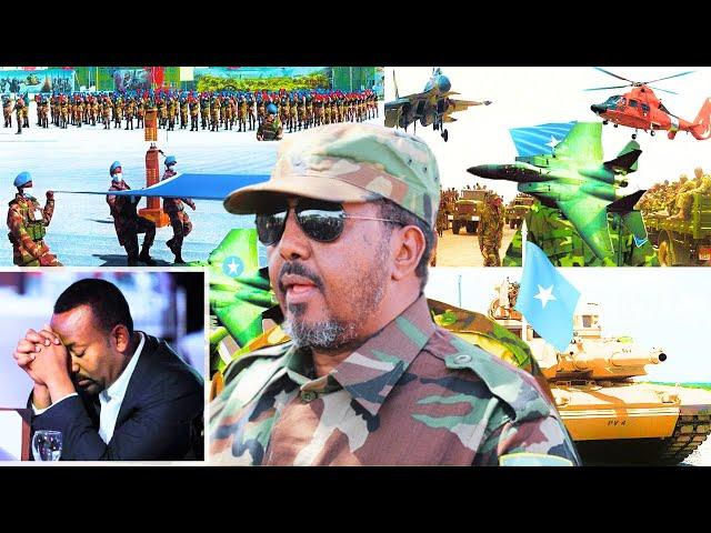 Militeriga Somalia: Awooda Ciidamada Somalia, Hubka Cusub iyo Cabsida Itoobiya | Siraha Militeriga |