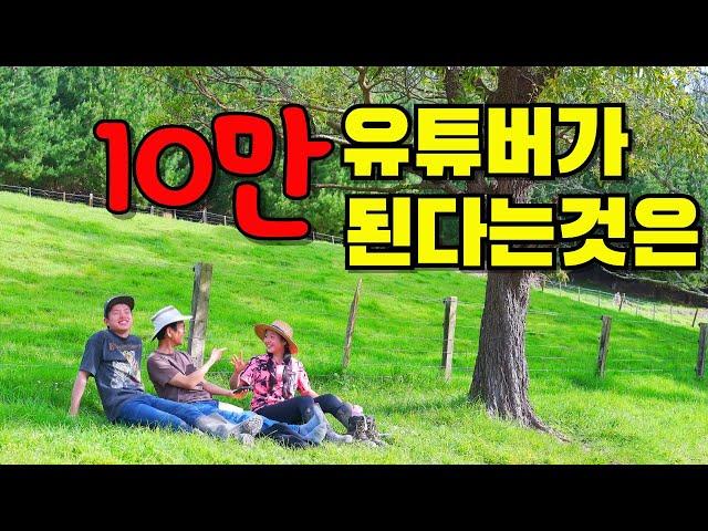 뉴질랜드 시골에서 10만 유튜버가 될 줄 그 땐 몰랐다(아직 조금 남았지만)