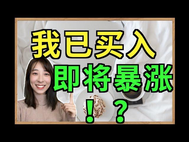 美股分析-居家经济板块最后一支还没被发现的股票？！股价严重被低估？！100%上涨空间？！（字幕打开 CC)