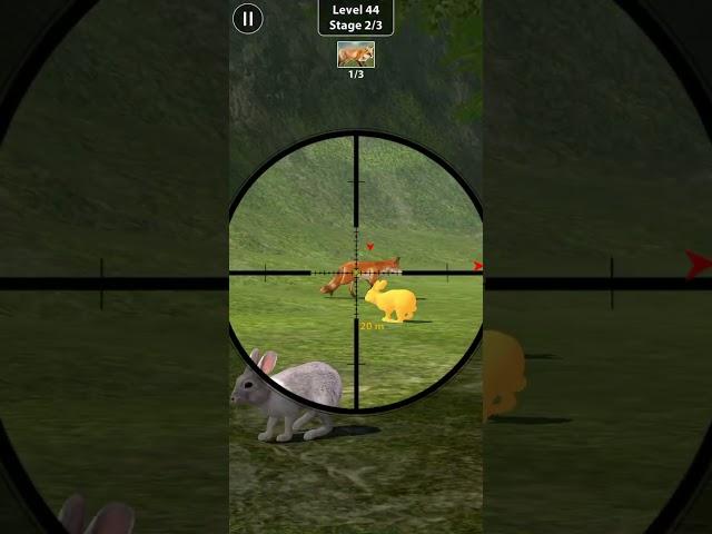 Animal Shooting: Jungle Hunter | Animal Hunting gameplay