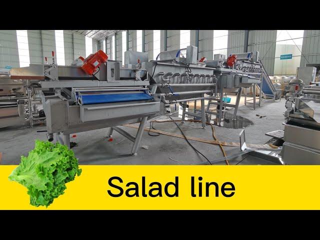 Lettuce washing machine salad spiral washer leafy vegetable processing line export to Malaysia