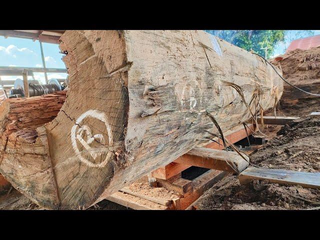 operator technique!!  sawing the super large giant bengkirai wood