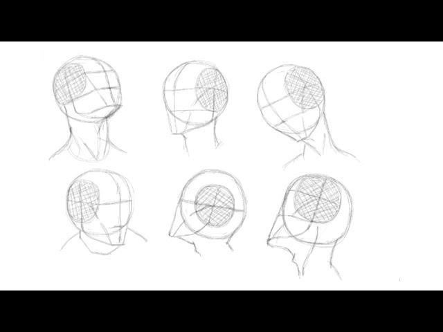 How to Draw Heads Using Loomis Method/portrait drawing basics