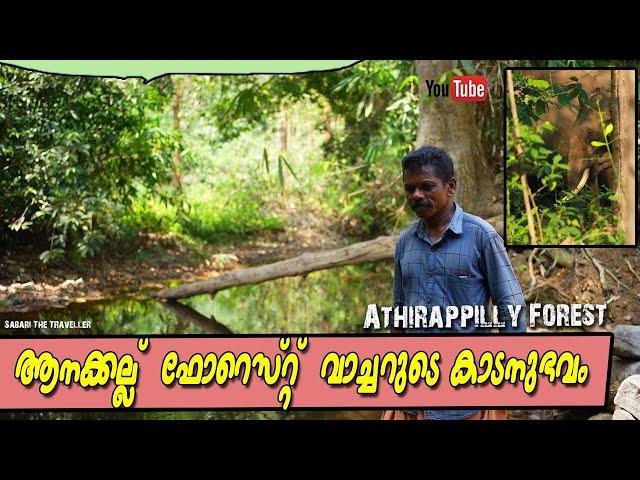 Anakallu Jungle Safari |ആനക്കല്ല്  ഫോറെസ്റ്റ്  വാച്ചറുടെ കാടനുഭവം |