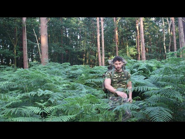 Stealth Camping in English Woodland