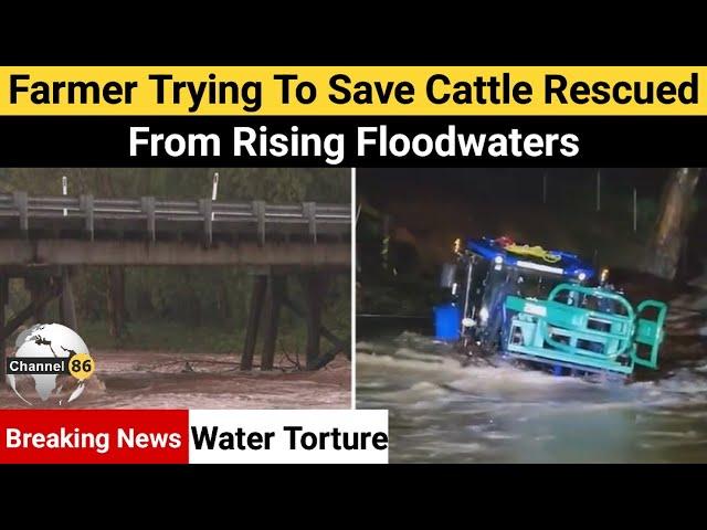 Farmer trying to save cattle rescued from rising floodwaters - Channel 86 Australia