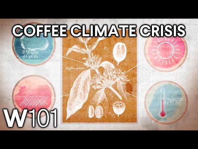 How Climate Change Is Threatening the Coffee Industry | World101 CFR