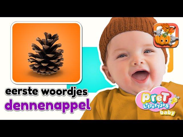 Baby Eerste Woordjes • DENNENAPPEL • Baby tv Nederlandse Baby filmpjes • Eerste Woordjes Leren