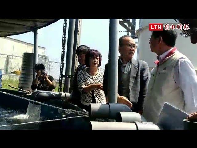搶救國寶台灣鯛！智能養魚又種電 打造口湖外銷生產基地