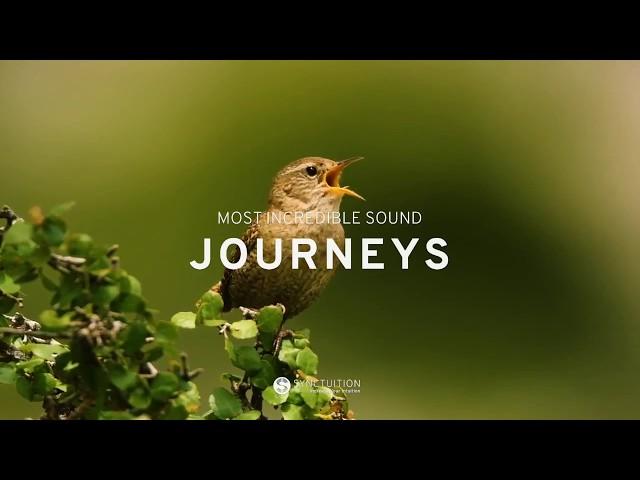 The Most Incredible Sound Journeys