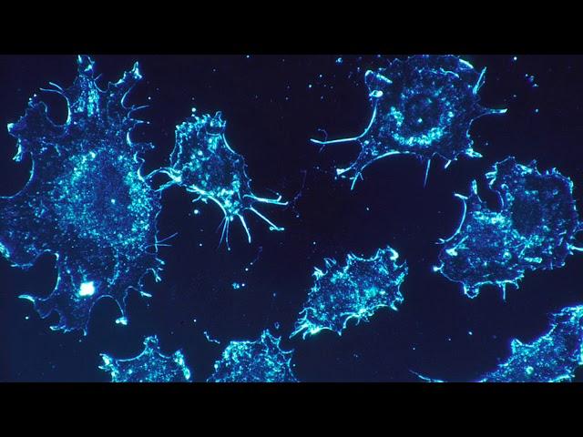 Cell Press Reviews:  Cancer Therapeutics