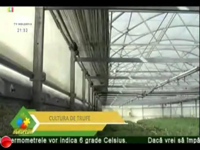 AgroTV Moldova Live Stream