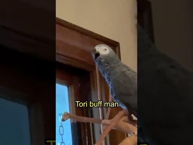 Please Help Decode the Bird Thanks