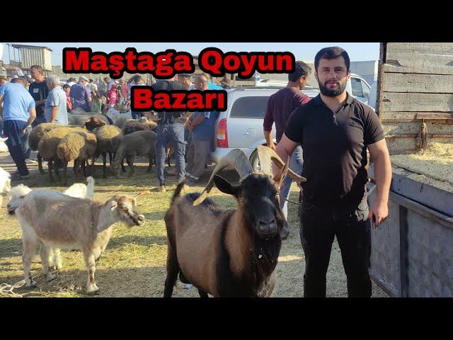 Maştaga Qoyun Bazarı