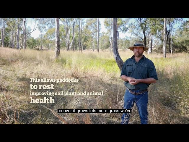 Rotational grazing