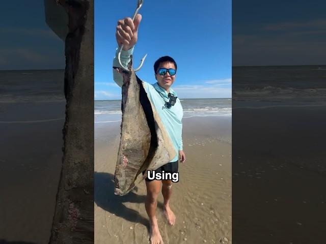 Using MASSIVE Bait At The Beach And This HAPPENED...(Part 1)