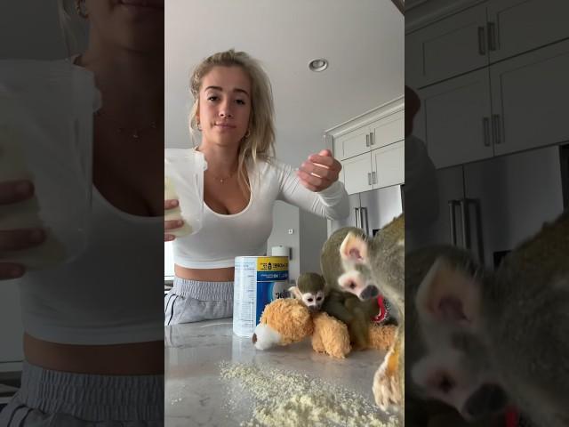 oliver chose chaos #viral #madlovesripley #maldivesripley #beauty #recipe #squirrelmonkey #grwm