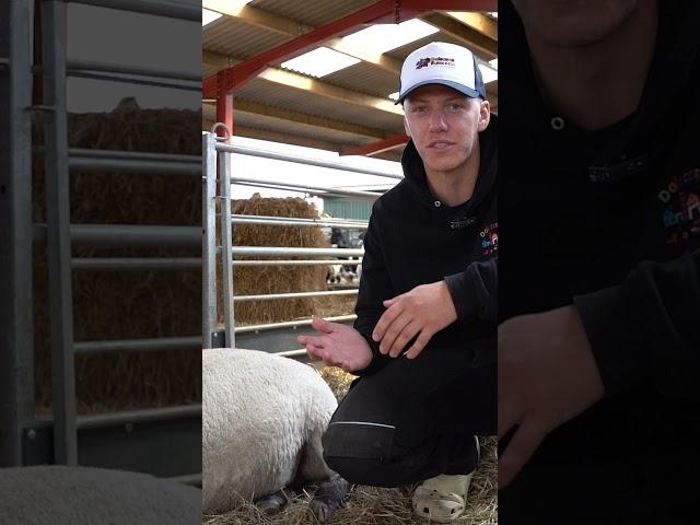 Farmer Ben is back and you won't believe who he has with him!!